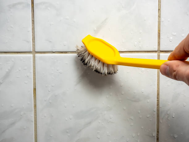 Best Mold Damage Repair  in Bayou Lourse, LA