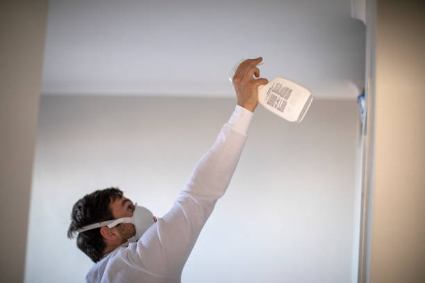 Best Office Mold Removal Services  in Bayou Lourse, LA
