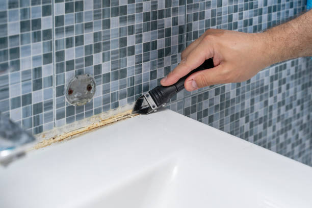 Best Mold Remediation Services  in Bayou Lourse, LA