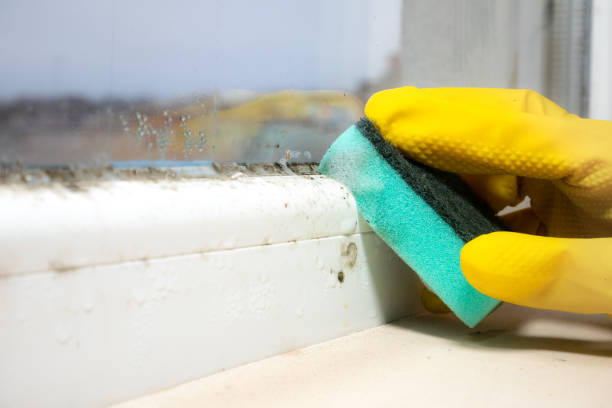 Best Crawl Space Mold Removal  in Bayou Lourse, LA