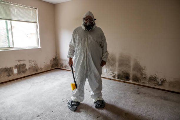 Best Attic Mold Removal  in Bayou Lourse, LA