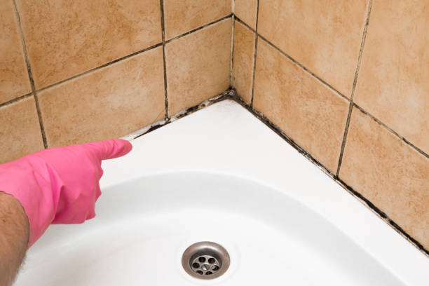 Best Emergency Mold Removal  in Bayou Lourse, LA